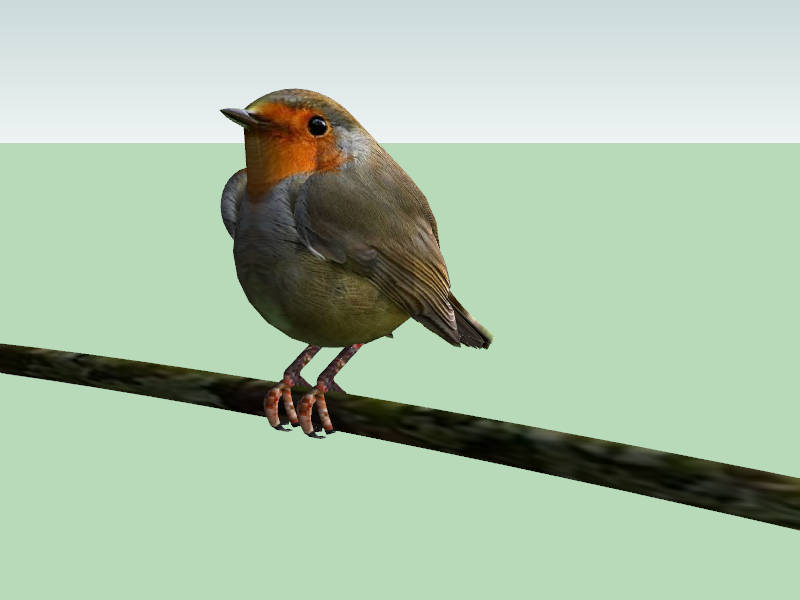 Small Bird on Branch sketchup model preview - SketchupBox