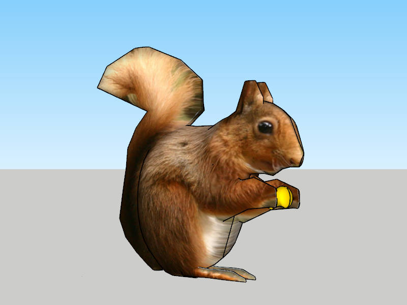 Red Squirrel sketchup model preview - SketchupBox
