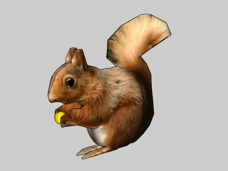 Red Squirrel sketchup model preview - SketchupBox
