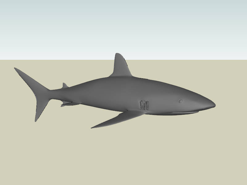 Shark sketchup model preview - SketchupBox