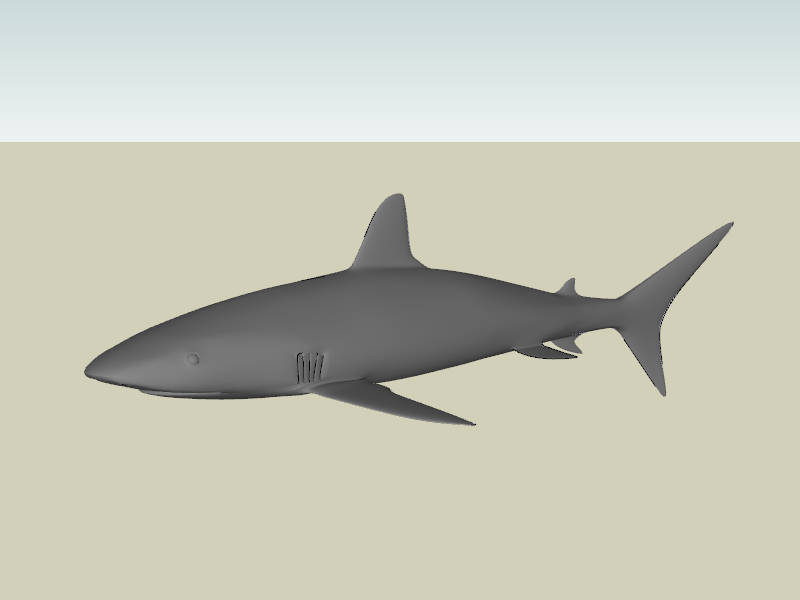 Shark sketchup model preview - SketchupBox