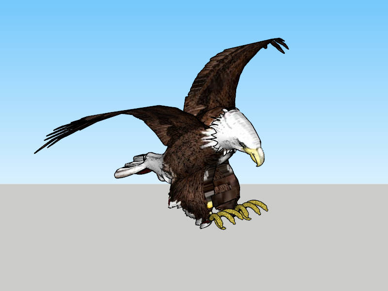 American Bald Eagle sketchup model preview - SketchupBox