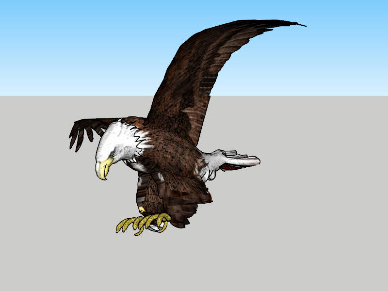 American Bald Eagle sketchup model preview - SketchupBox