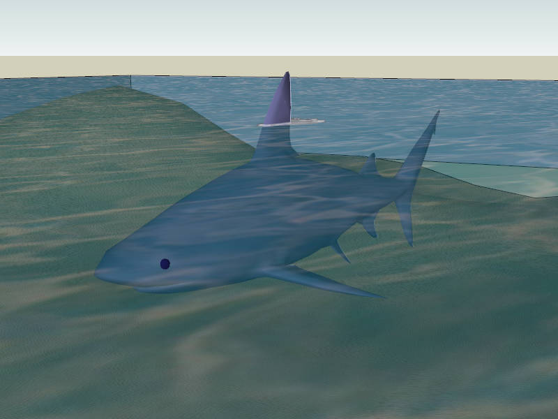 Shark in Water sketchup model preview - SketchupBox