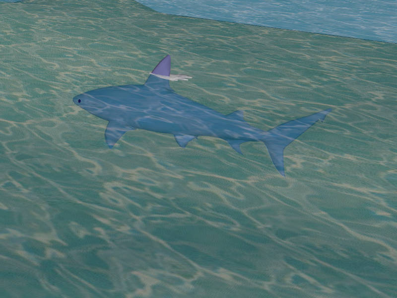 Shark in Water sketchup model preview - SketchupBox