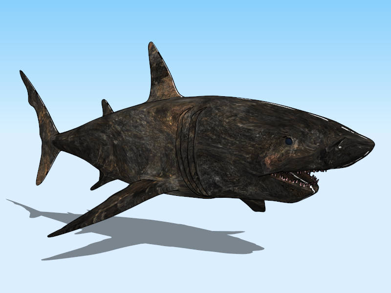 Black Shark sketchup model preview - SketchupBox