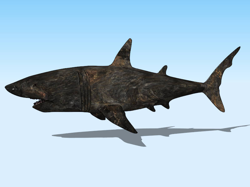 Black Shark sketchup model preview - SketchupBox