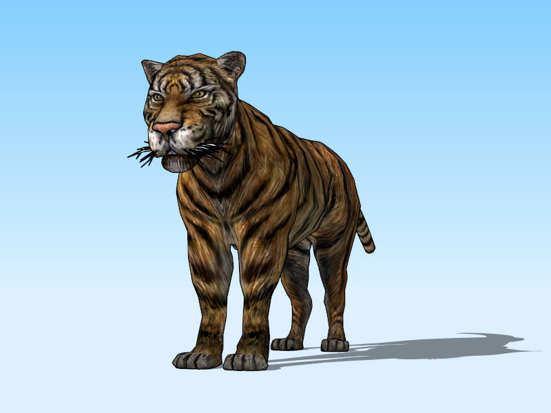 Male Tiger sketchup model preview - SketchupBox