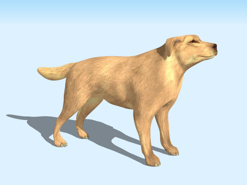 Boxer Dog sketchup model preview - SketchupBox