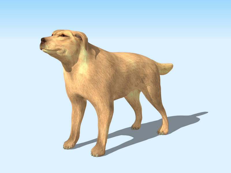Boxer Dog sketchup model preview - SketchupBox