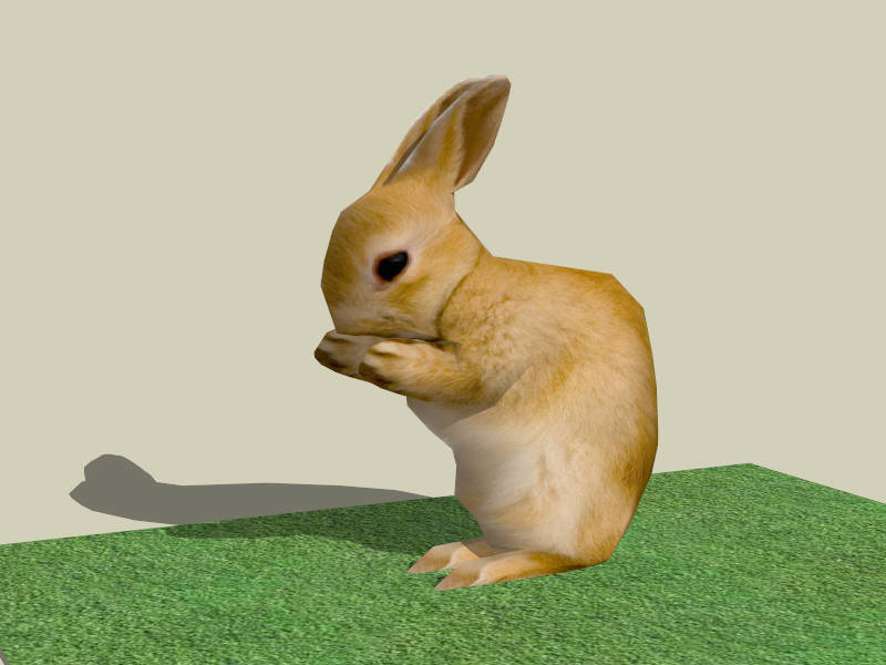 Bunny Rabbit sketchup model preview - SketchupBox