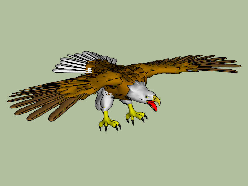 Flying Bald Eagle sketchup model preview - SketchupBox