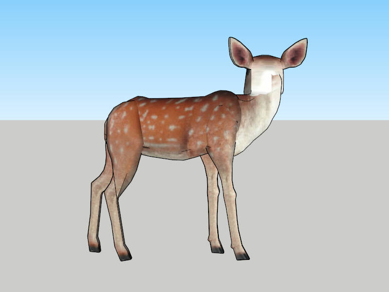 White Tailed Deer sketchup model preview - SketchupBox