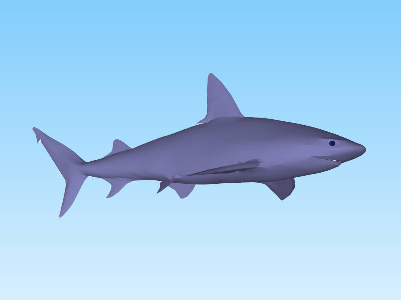 Blue Shark sketchup model preview - SketchupBox