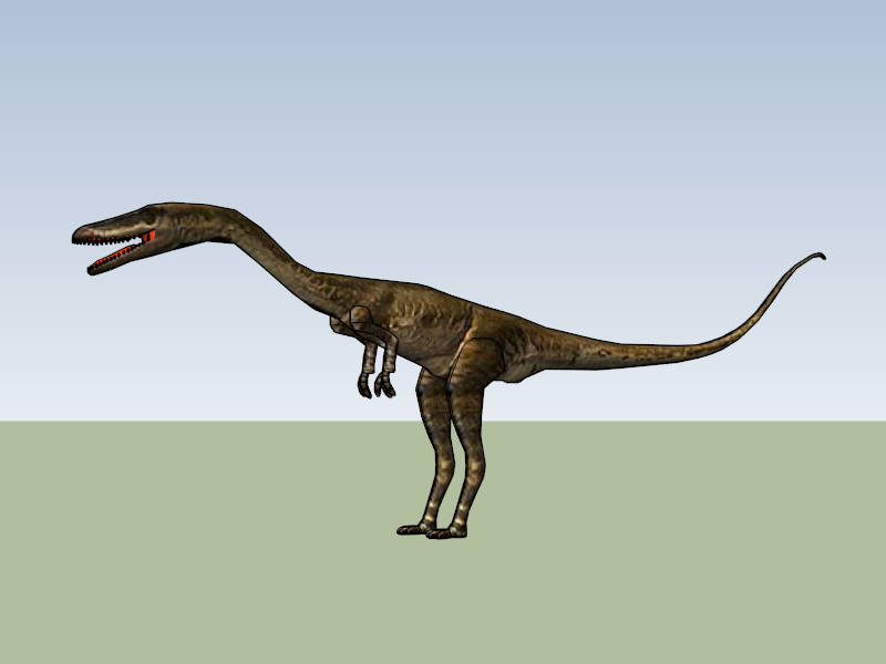 Coelophysis Dinosaur sketchup model preview - SketchupBox