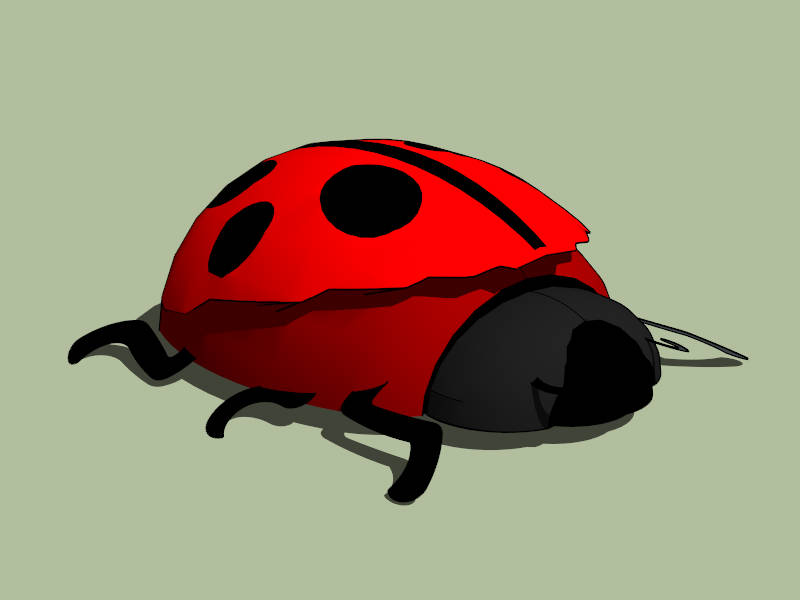 Pretty Ladybug sketchup model preview - SketchupBox