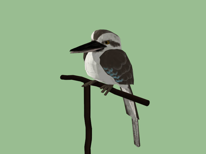 Male Blue-winged Kookaburra Bird sketchup model preview - SketchupBox