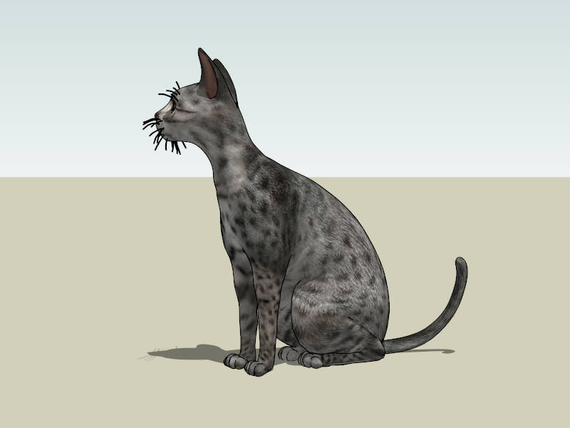 Egyptian Mau Cat sketchup model preview - SketchupBox
