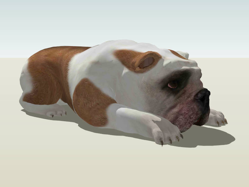 Cute Pug Puppy Dog sketchup model preview - SketchupBox