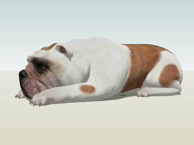 Cute Pug Puppy Dog sketchup model preview - SketchupBox