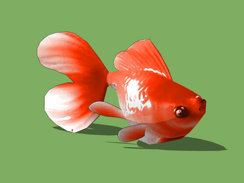Ryukin Goldfish sketchup model preview - SketchupBox