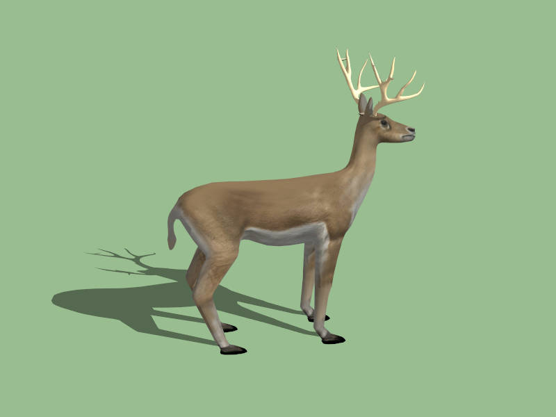 Small Buck Deer sketchup model preview - SketchupBox