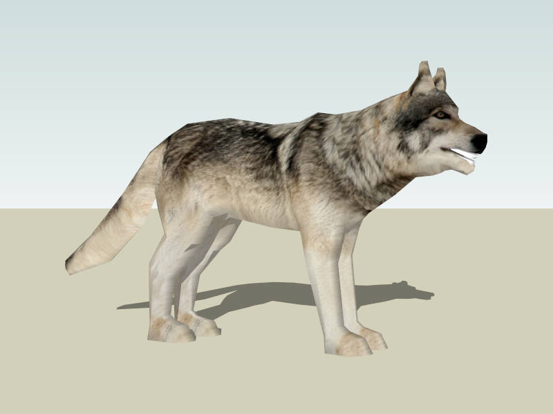 Gray Wolf sketchup model preview - SketchupBox