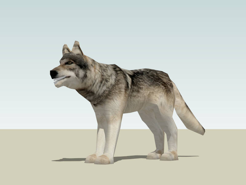 Gray Wolf sketchup model preview - SketchupBox