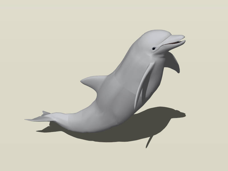 Bottlenose Dolphin sketchup model preview - SketchupBox