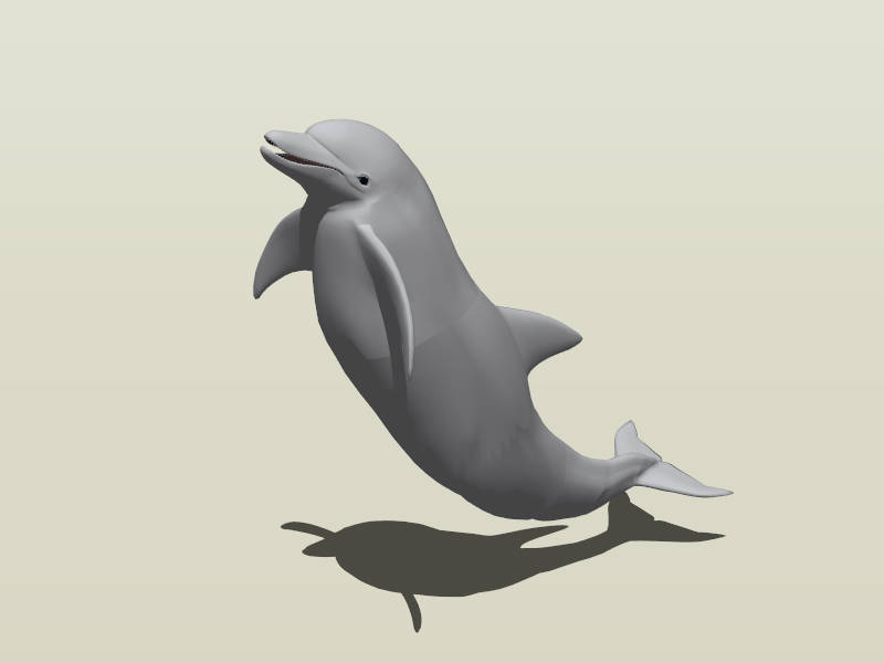 Bottlenose Dolphin sketchup model preview - SketchupBox