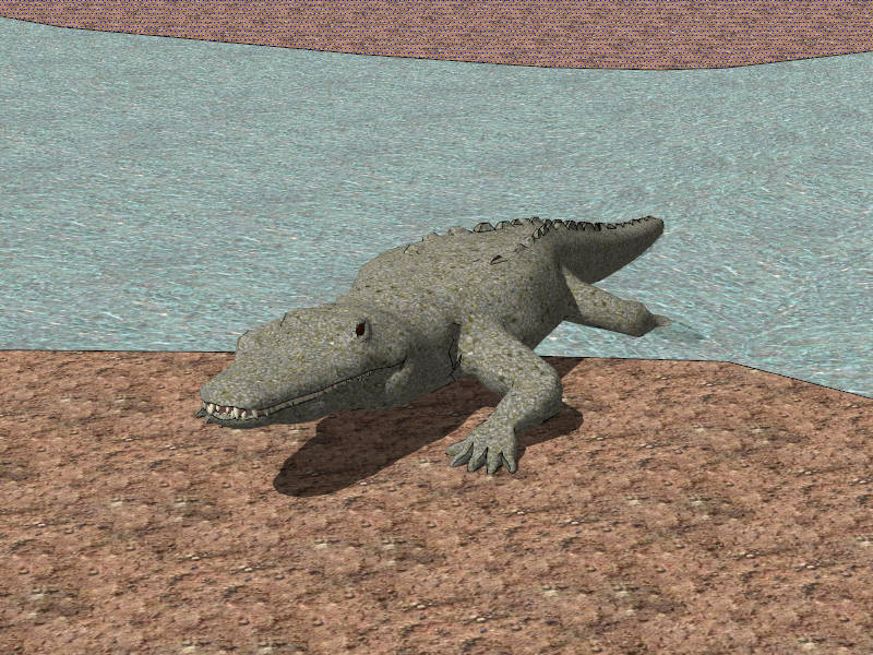 Saltwater Crocodile sketchup model preview - SketchupBox