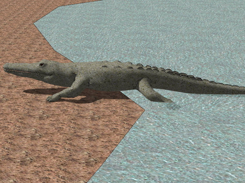 Saltwater Crocodile sketchup model preview - SketchupBox