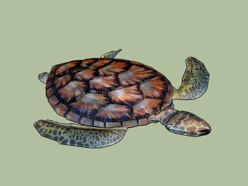 Colorful Sea Turtle sketchup model preview - SketchupBox