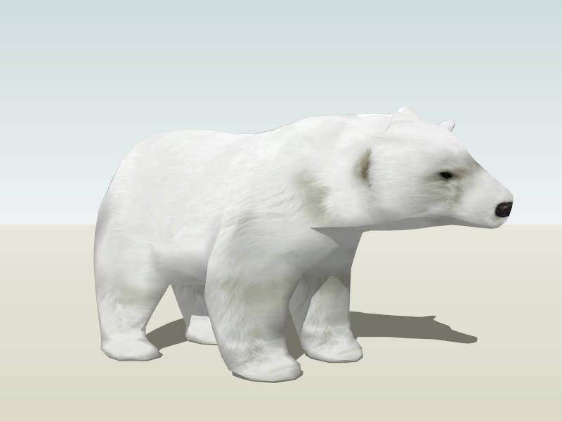 Polar Bear sketchup model preview - SketchupBox