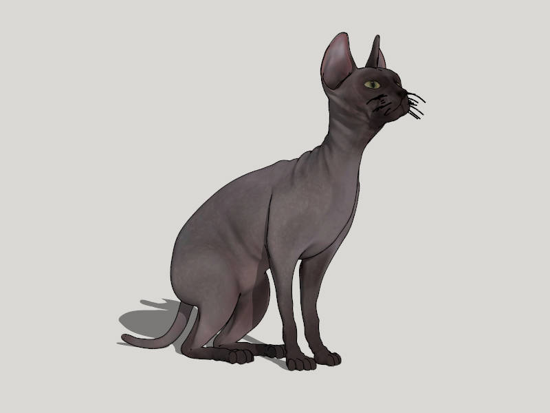 Sphynx Cat sketchup model preview - SketchupBox