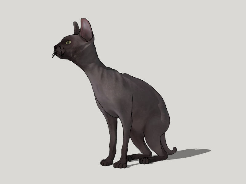 Sphynx Cat sketchup model preview - SketchupBox