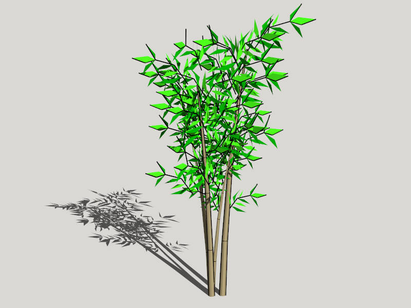 Bamboo Tree Plant sketchup model preview - SketchupBox