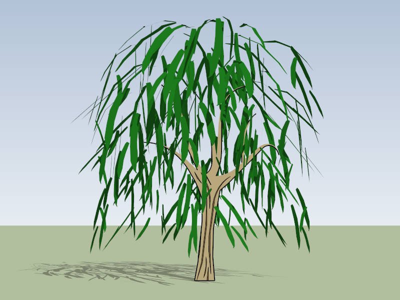 Weeping Willow sketchup model preview - SketchupBox