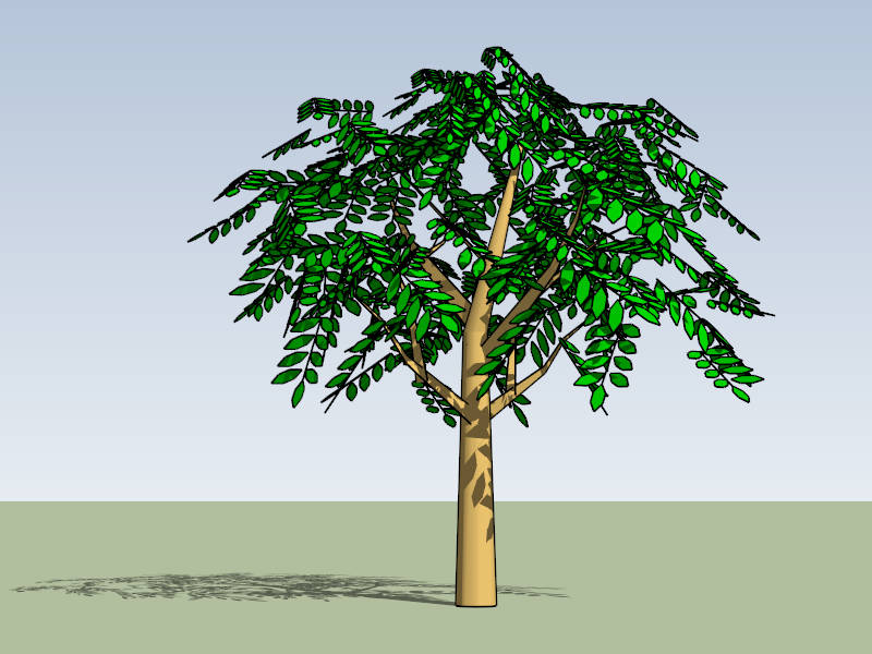 Ash Tree sketchup model preview - SketchupBox