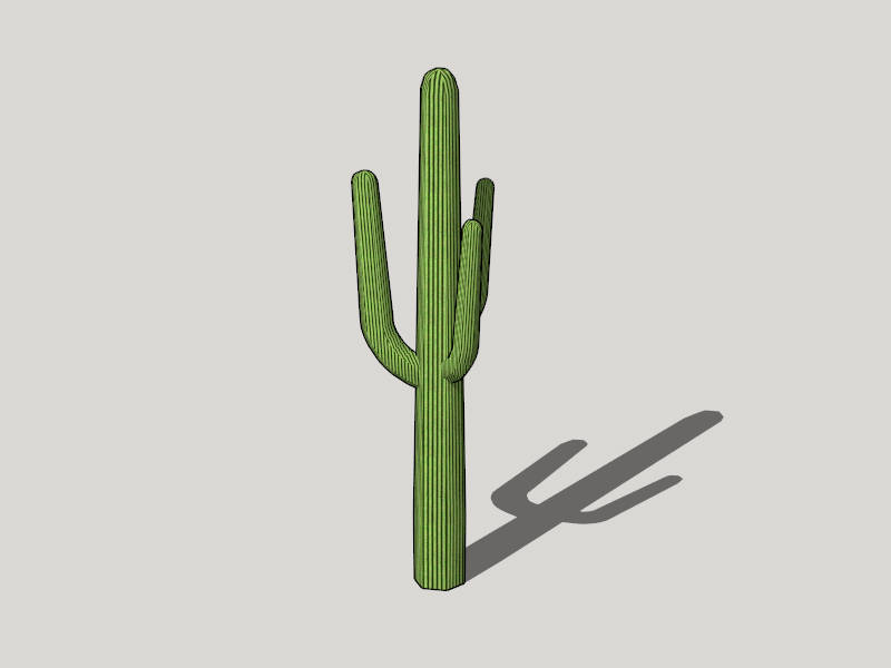 Mature Saguaro Cactus sketchup model preview - SketchupBox
