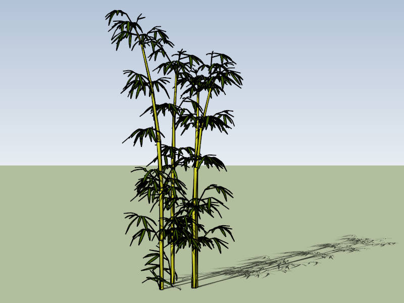 Bamboo Grove sketchup model preview - SketchupBox