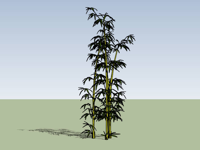 Bamboo Grove sketchup model preview - SketchupBox