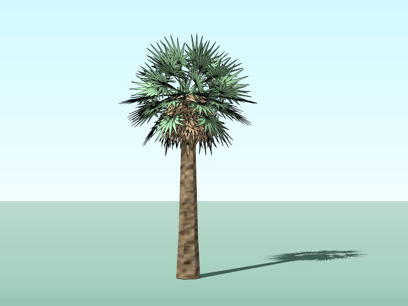 Tropical Fan Palm sketchup model preview - SketchupBox