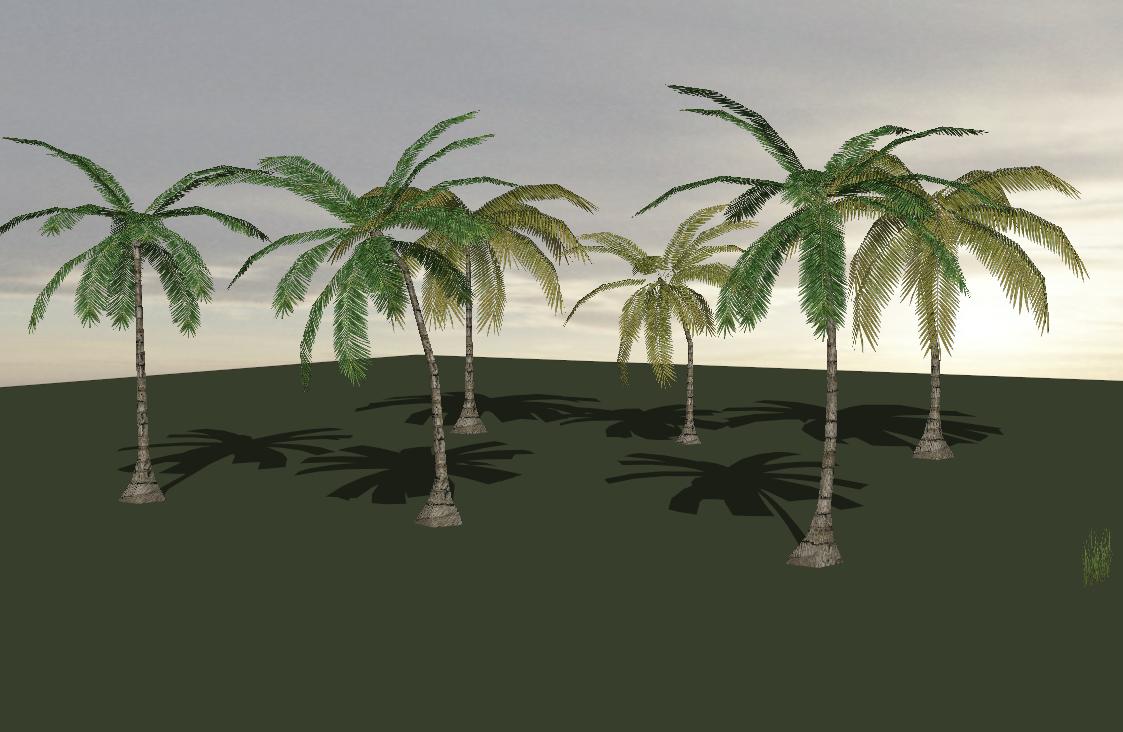 Coconut Trees sketchup model preview - SketchupBox