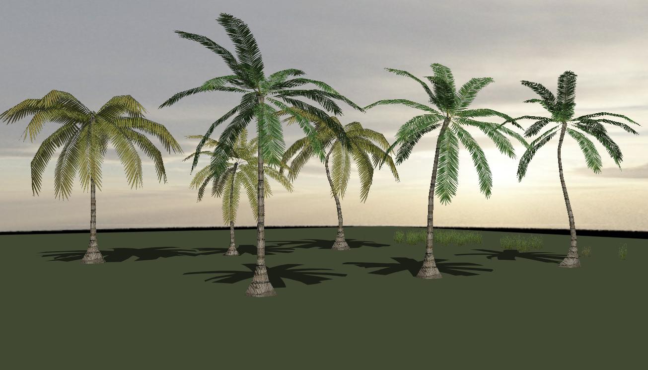 Coconut Trees sketchup model preview - SketchupBox