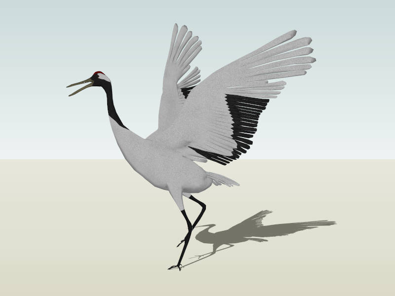 Red-crowned Crane sketchup model preview - SketchupBox