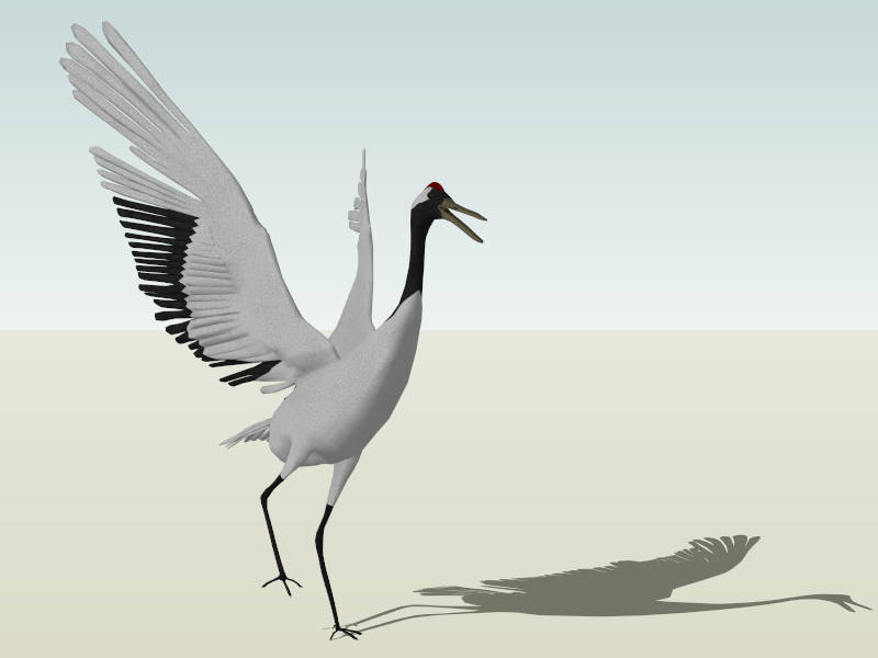 Red-crowned Crane sketchup model preview - SketchupBox