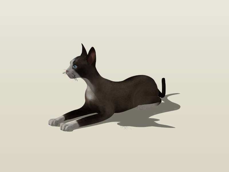 Oriental Shorthair Cat sketchup model preview - SketchupBox