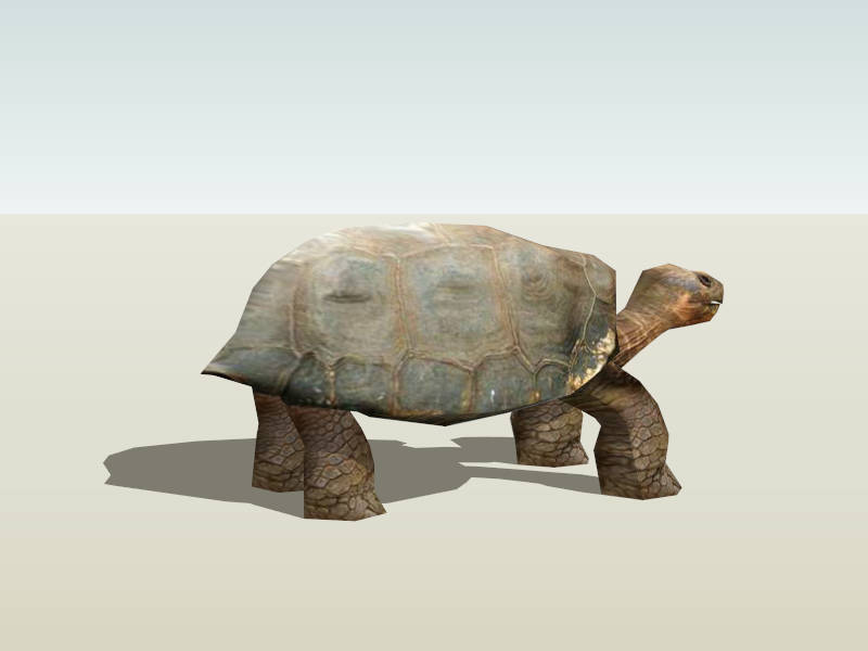 Old Turtle sketchup model preview - SketchupBox