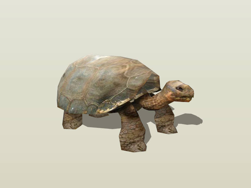 Old Turtle sketchup model preview - SketchupBox